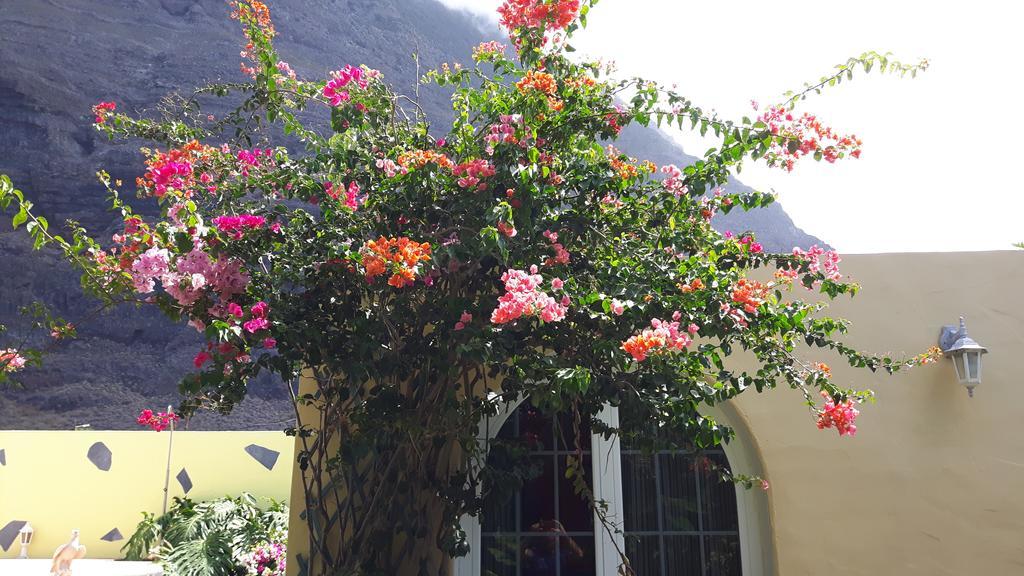 Mi Jardin Villa Frontera Exterior foto